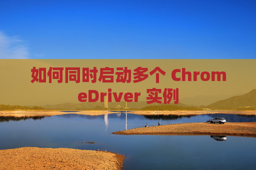 如何同时启动多个 ChromeDriver 实例