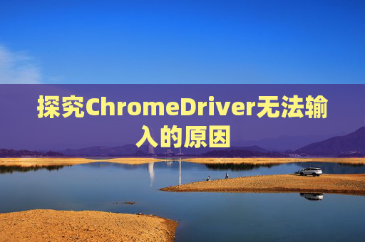 探究ChromeDriver无法输入的原因